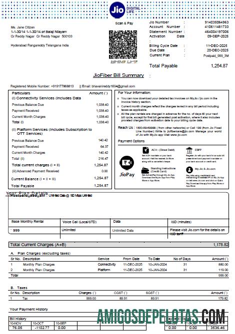 em branco Modelo de conta de serviços públicos India Jio Digital Life em formatos Word e PDF, versão 4